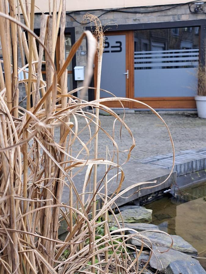 Apartamento Le 23 - La-Roche-en-Ardenne Exterior foto